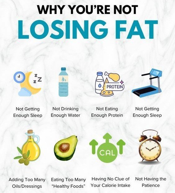 Why You’re Not Losing Fat (Even When You’re Trying) 1 5 16