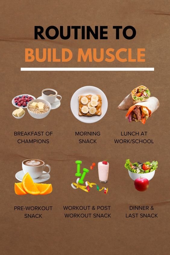 Routine to Build Muscle — Daily Eating Plan & Fuel Guide 1 7 2